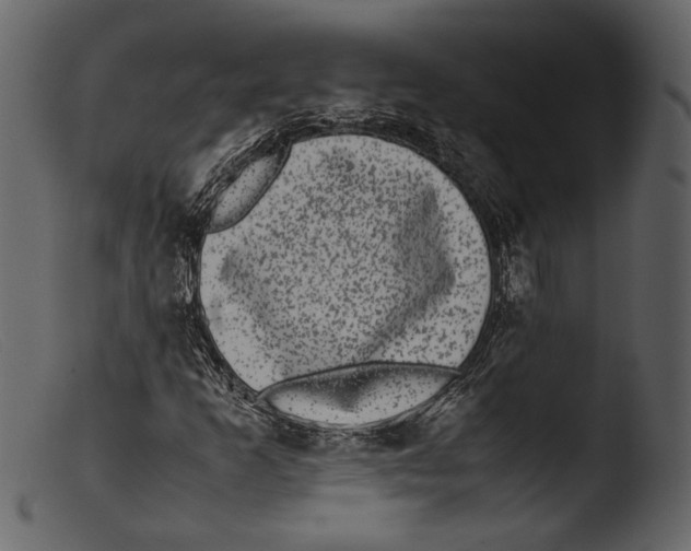 X0000103271253200809261154