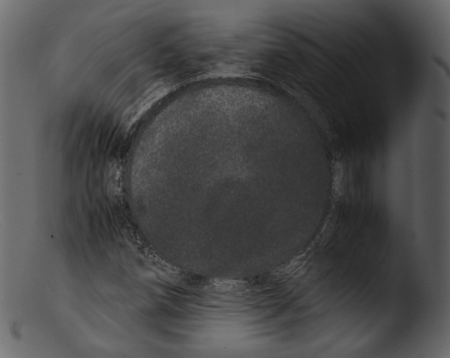 X0000103271258200809261154