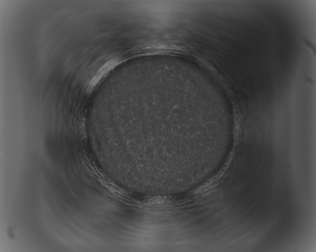 X0000103271259200809261154