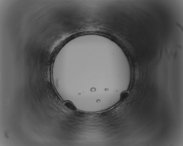 X0000103271262200809261154