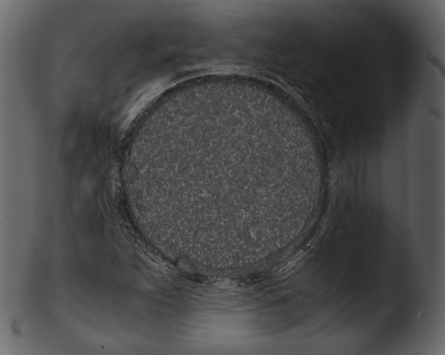 X0000103271263200809261154