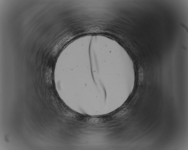 X0000103271265200809261154