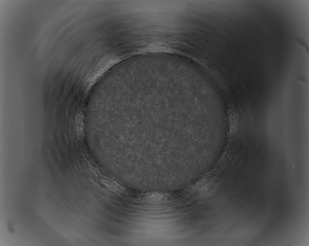 X0000103271266200809261154
