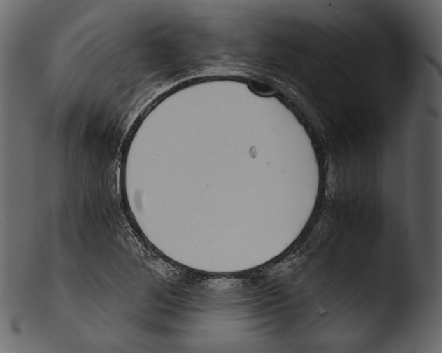 X0000103271268200809261154