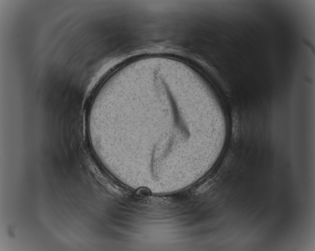 X0000103271270200809261154