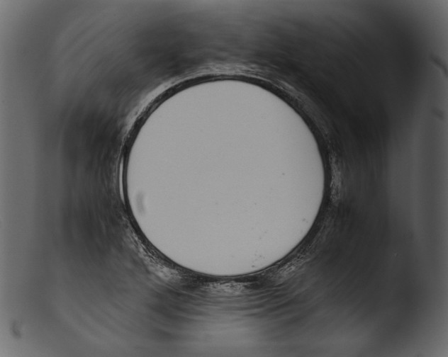 X0000103271272200809261154