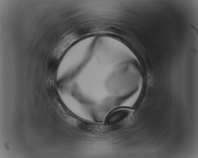 X0000103271273200809261154