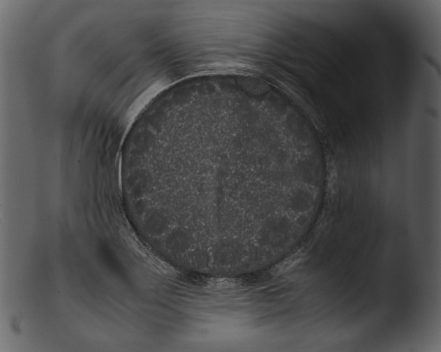 X0000103271275200809261154