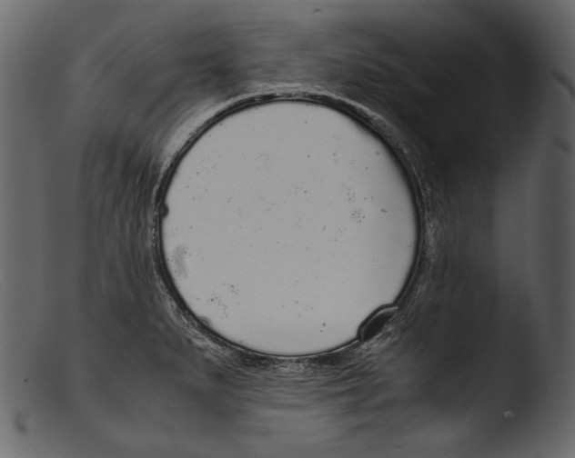 X0000103271279200809261154