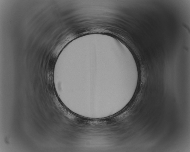 X0000103271281200809261154