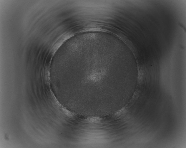 X0000103271282200809261154