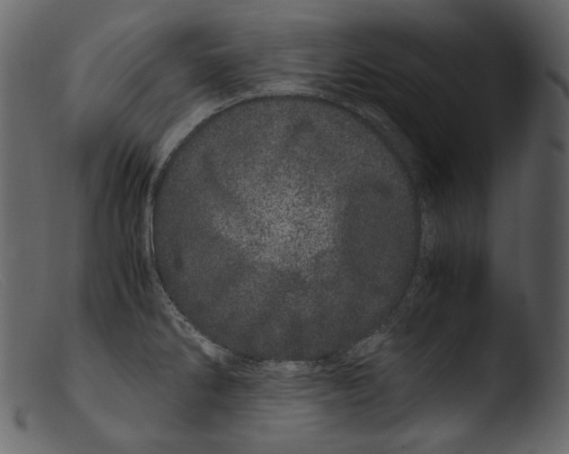 X0000103271286200809261154