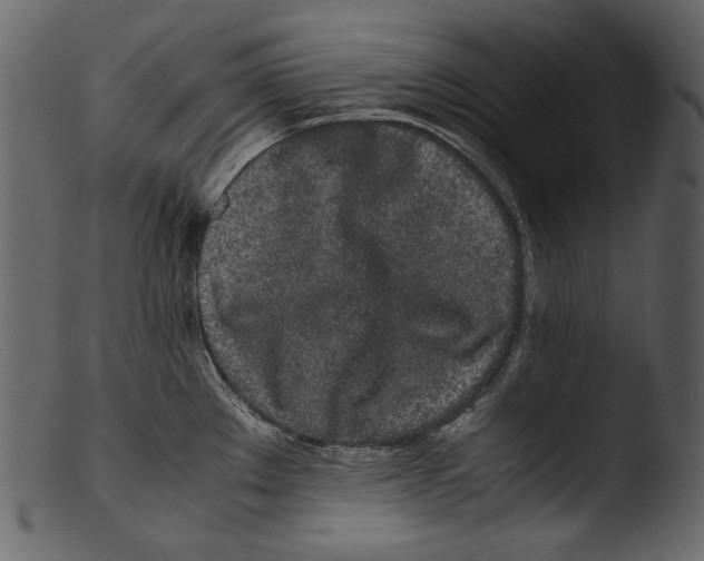 X0000103271289200809261154