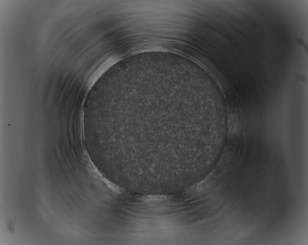 X0000103271290200809261154