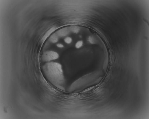 X0000103271291200809261154