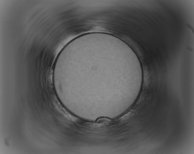 X0000103271292200809261153