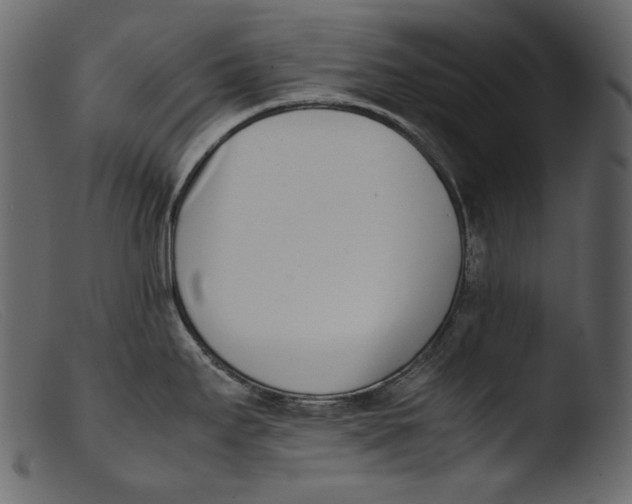 X0000103271295200809261153