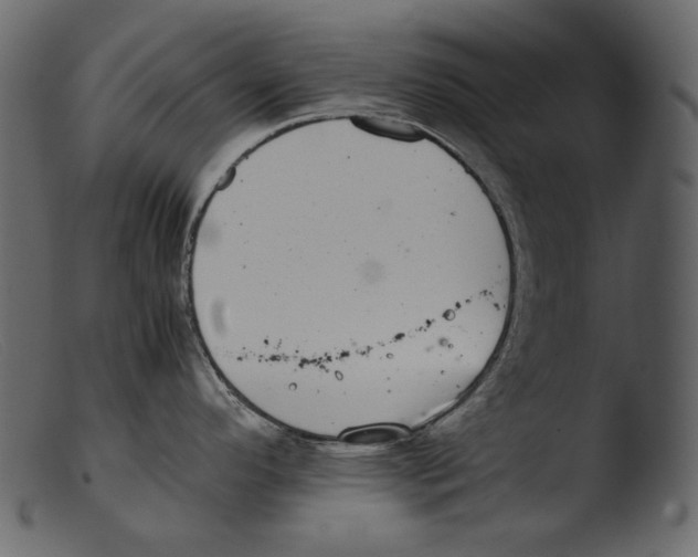 X0000103271296200809261153