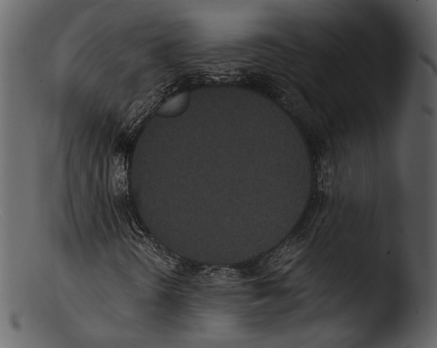 X0000103271298200809261153