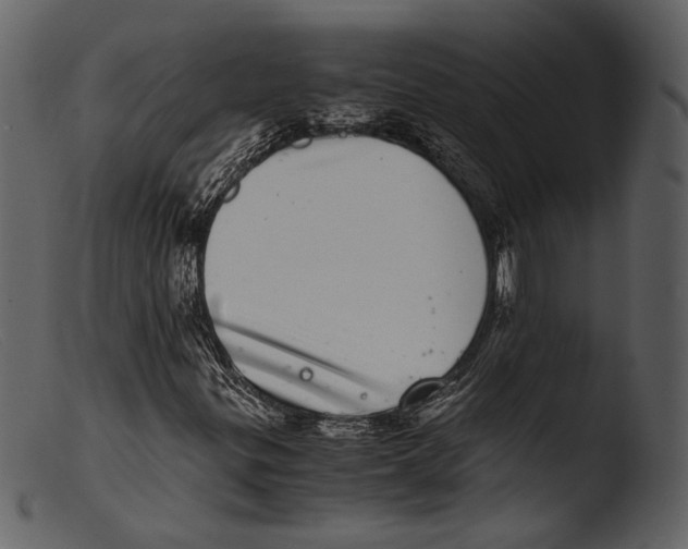 X0000103271299200809261153