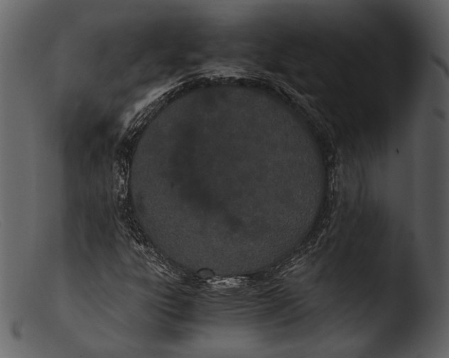 X0000103271303200809261153