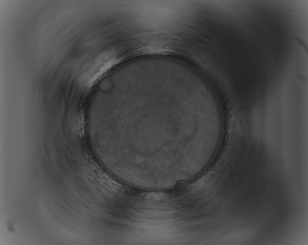 X0000103271306200809261153