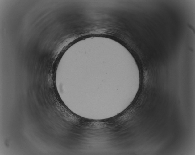 X0000103271308200809261153