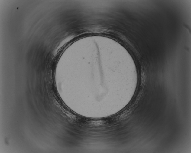 X0000103271315200809261153