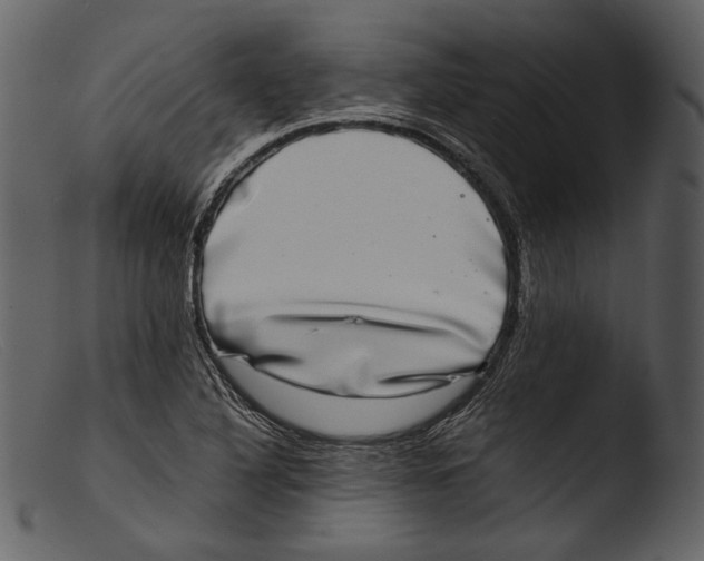 X0000103271316200809261153