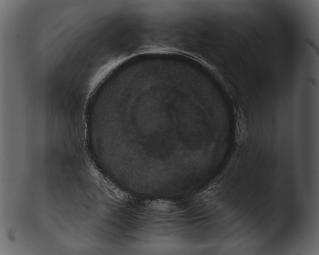 X0000103271319200809261153