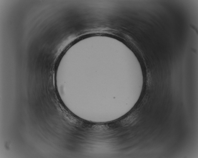 X0000103271320200809261153