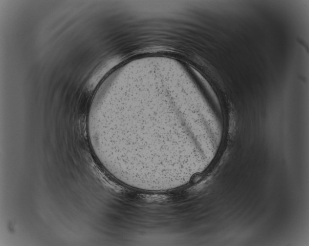 X0000103271321200809261153