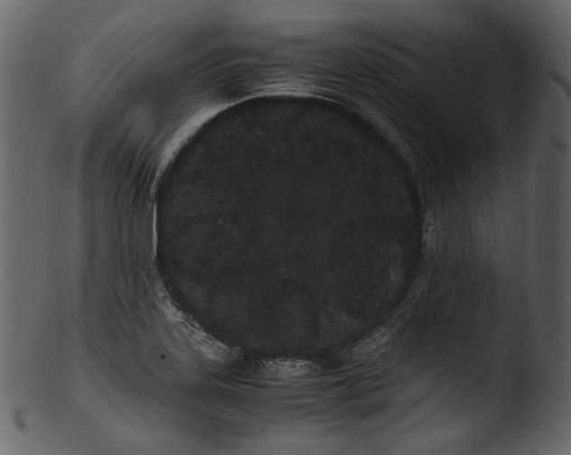 X0000103271323200809261153