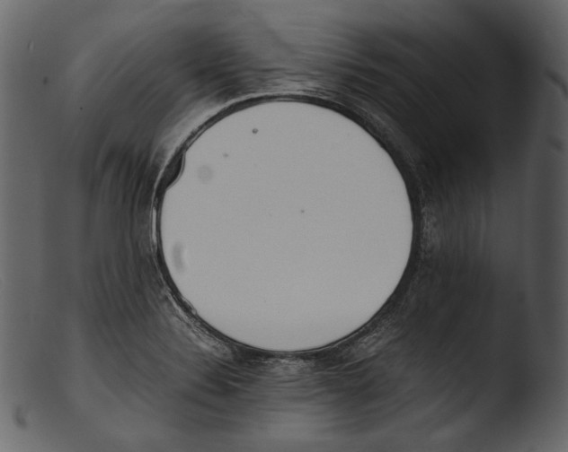 X0000103271324200809261153