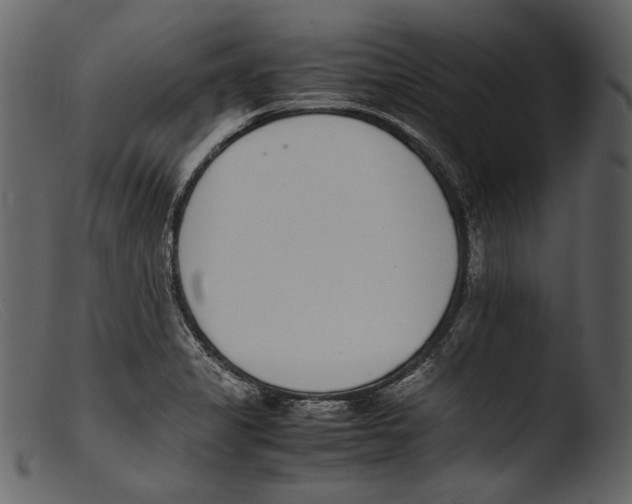 X0000103271325200809261153