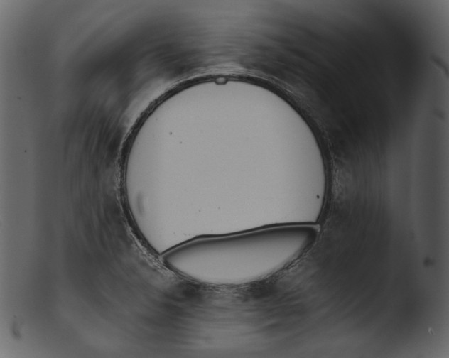 X0000103271326200809261153