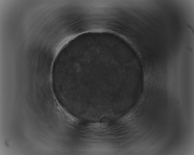 X0000103271327200809261153