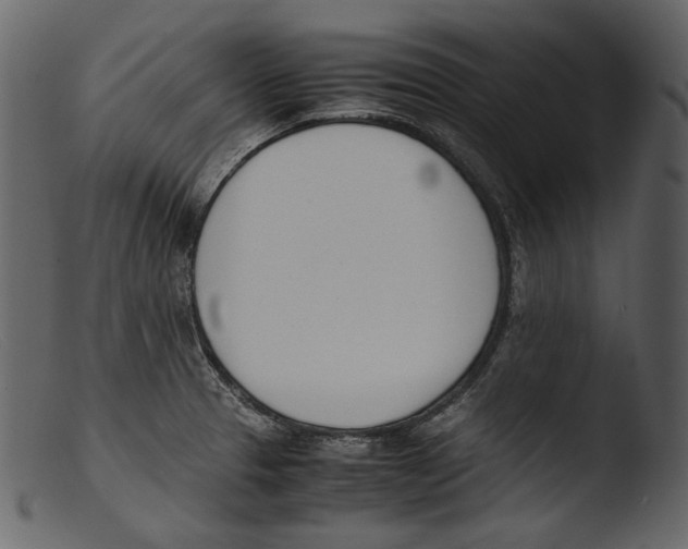 X0000103271329200809261153