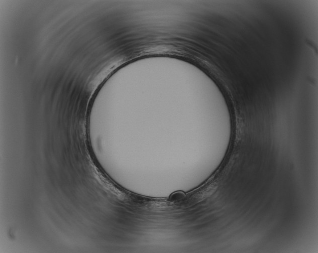 X0000103271330200809261153