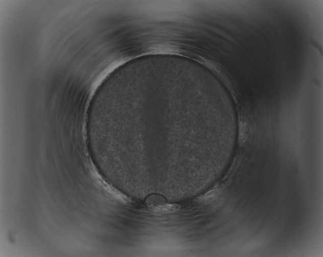 X0000103271331200809261153