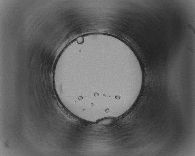 X0000103271332200809261153
