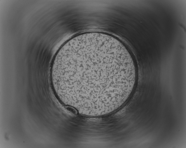 X0000103271333200809261153