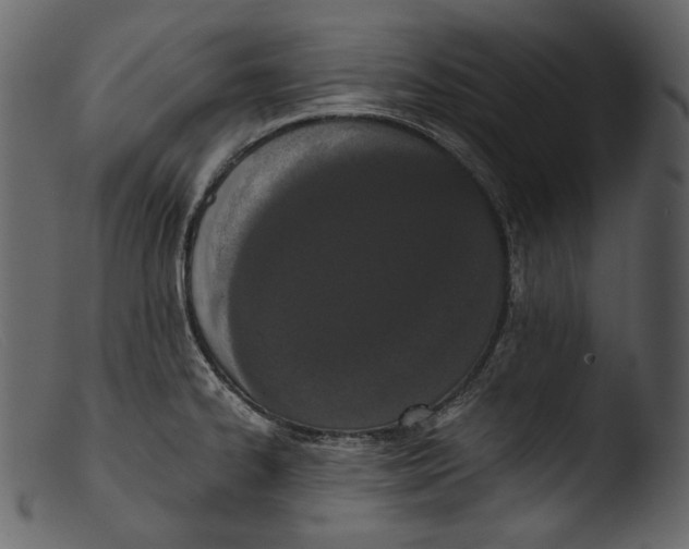 X0000103271334200809261153