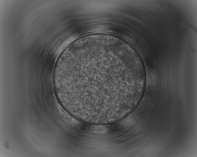 X0000103271338200809261153