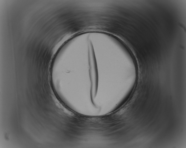 X0000103271341200809261153