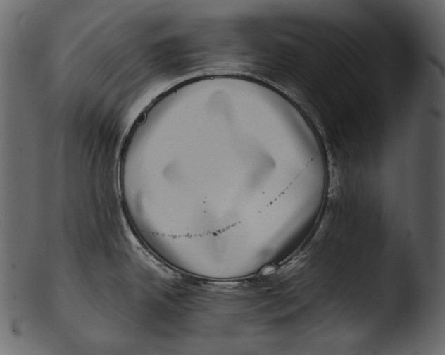 X0000103271342200809261153