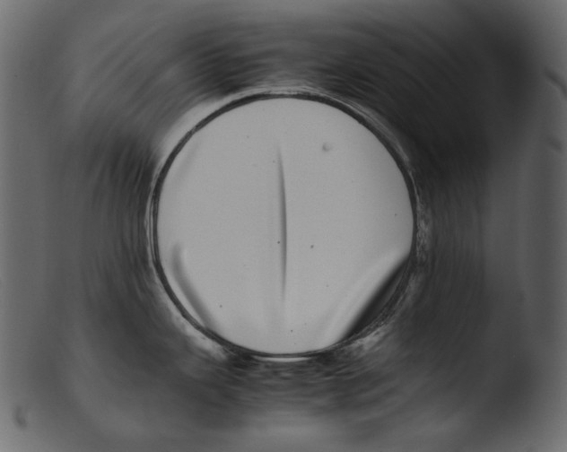 X0000103271343200809261153