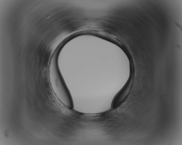 X0000103271344200809261153