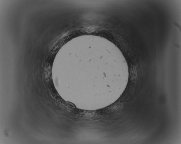 X0000103271349200809261153