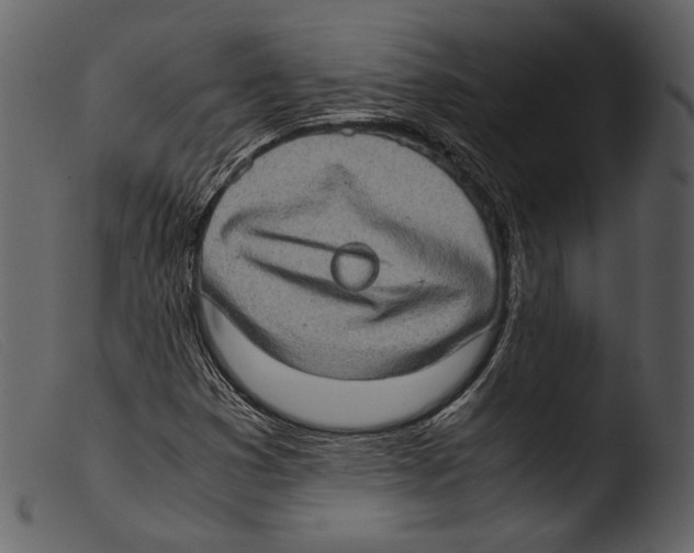 X0000103271353200809261152